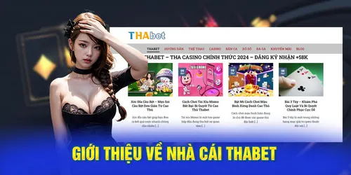 Thabet Online Platform Experience Guide