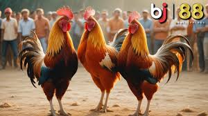 Register BJ88 – Quick and Easy BJ88 Account Sign Up