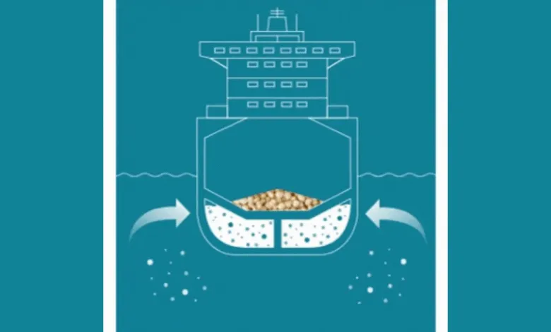 Experts Evaluate Sunwin's Future Development Potential