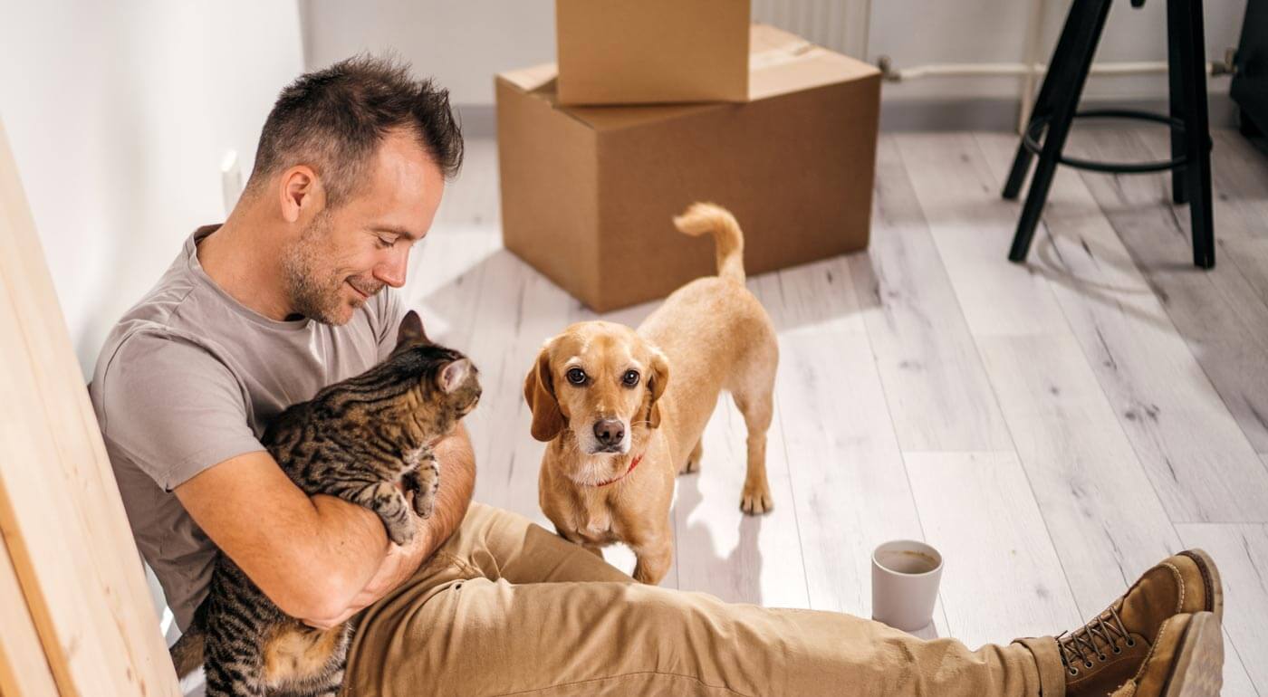 Moving With Pets: A Practical Guide for Animal Lovers