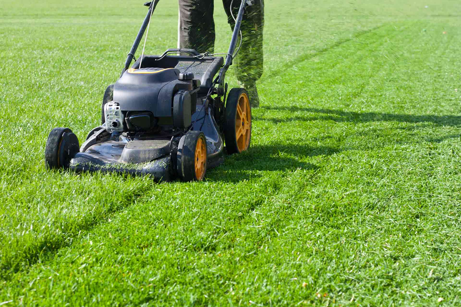 Average Lawn Mowing Service Prices in Airdrie for 2026