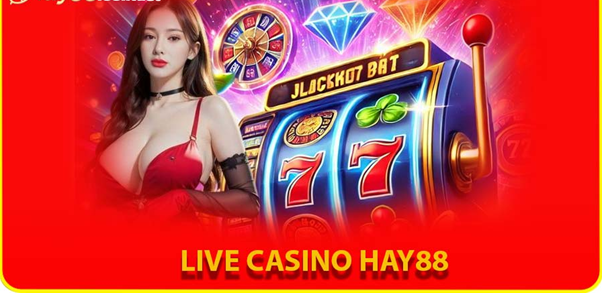 Hay88 Review 2025: Features, Pros, and Platform Insights