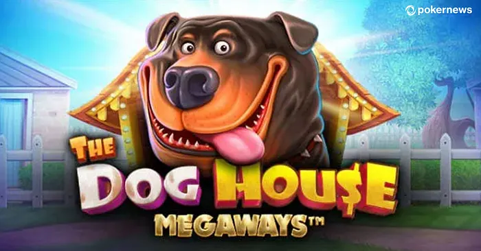 Complete Guide to Playing Dog House Megaways for Maximum Results