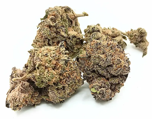 How Cannabis Breeding Creates Different Flower Profiles